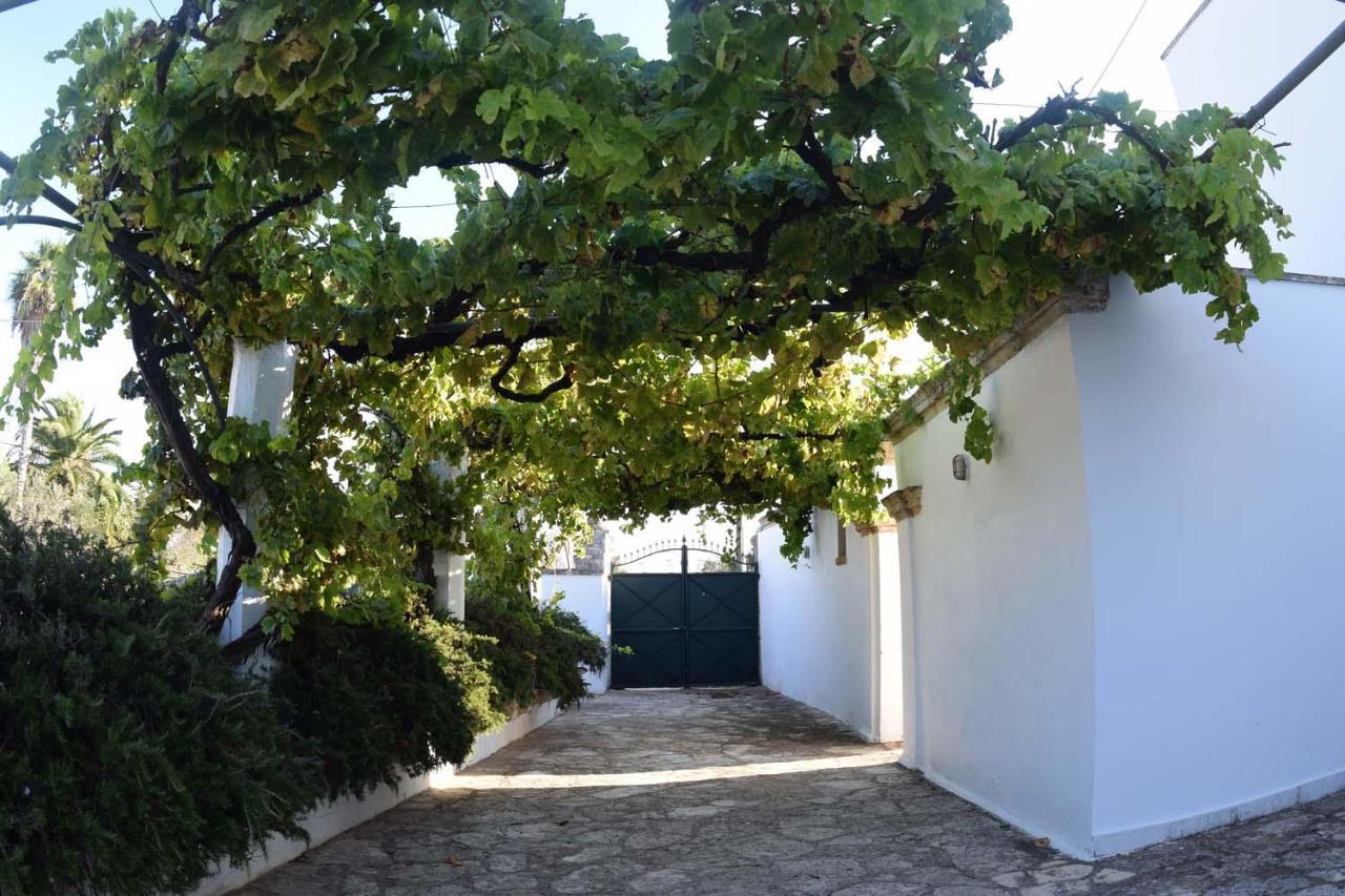 La Giara House ,Near Gallipoli 알레지오 외부 사진